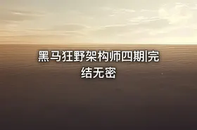 黑马狂野架构师四期|完结无密