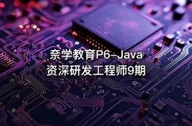 奈学教育P6-Java资深研发工程师9期