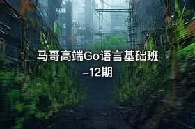 马哥高端Go语言基础班-12期