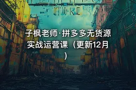 子枫老师·拼多多无货源实战运营课（更新12月）