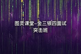 图灵课堂-金三银四面试突击班