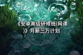 《安卓高级研修班(网课)》月薪三万计划