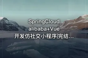 SpringCloudalibaba+Vue开发仿社交小程序|完结无密 - getfromcode