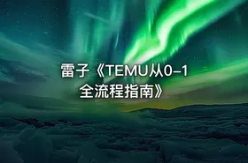 雷子《TEMU从0-1全流程指南》