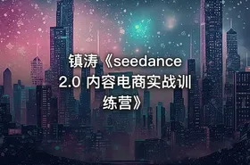 镇涛《seedance2.0 内容电商实战训练营》 - getfromcode