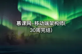 慕课网-移动端架构师( 30周完结)