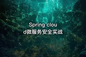 Spring cloud微服务安全实战