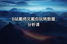 B站戴师兄戴你玩转数据分析课 - getfromcode