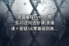 夜猫编程Python爬虫JS逆向进阶课(录播课＋答疑)从零基础到高薪就业编程课
