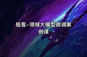 极客-领域大模型微调案例课