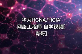 华为HCNA/HCIA网络工程师 自学视频[肖哥]