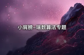小肩膀-瑞数算法专题