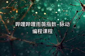 哔哩哔哩雨薇指数-脉动编程课程