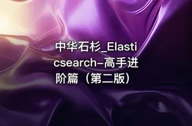 中华石杉_Elasticsearch-高手进阶篇（第二版）