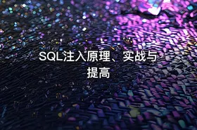 SQL注入原理、实战与提高 - getfromcode