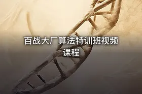 百战大厂算法特训班视频课程