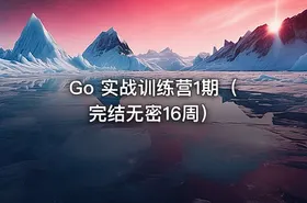 Go 实战训练营1期（完结无密16周）