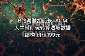 B站海贼胡船长-ACM大牛带你玩转算法与数据结构 价值199元