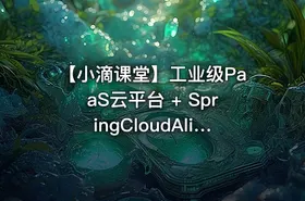 【小滴课堂】工业级PaaS云平台 + SpringCloudAlibaba综合项目实战
