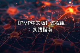 【PMP中文版】过程组：实践指南