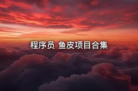 程序员 鱼皮项目合集