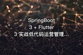 SpringBoot 3 + Flutter3 实战低代码运营管理（完结无密） - getfromcode