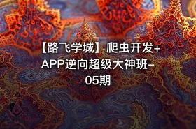 【路飞学城】爬虫开发+APP逆向超级大神班-05期