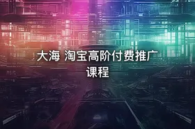 大海 淘宝高阶付费推广课程