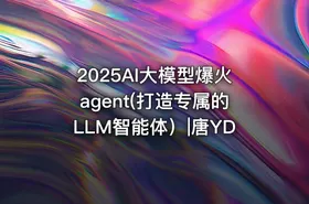 2025AI大模型爆火agent(打造专属的LLM智能体）|唐YD