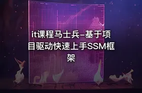 it课程马士兵-基于项目驱动快速上手SSM框架