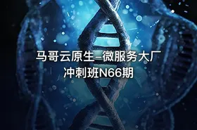 马哥云原生-微服务大厂冲刺班N66期