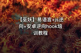 【巫妖】易语言+js逆向+安卓逆向hook培训教程