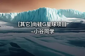 [其它]尚硅G星球项目-小谷同学 - getfromcode