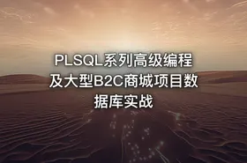 PLSQL系列高级编程及大型B2C商城项目数据库实战