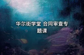 华尔街学堂 合同审查专题课 - getfromcode