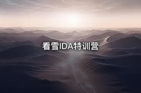 看雪IDA特训营 - getfromcode