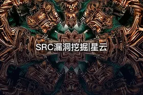 SRC漏洞挖掘|星云