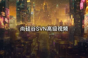 尚硅谷SVN高级视频