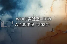 WOLF实验室-CCNA全套课程（2022）