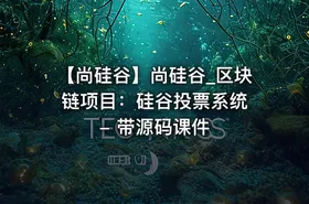 【尚硅谷】尚硅谷_区块链项目：硅谷投票系统 - 带源码课件