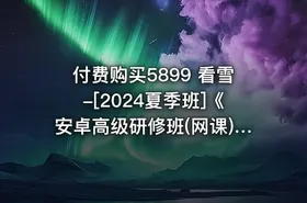 付费购买5899 看雪-[2024夏季班]《安卓高级研修班(网课)》月薪两万计划（2024.11.16更新）