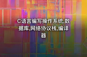 C语言编写操作系统,数据库,网络协议栈,编译器