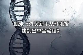 凯米《外贸新手从环境搭建到出单全流程》 - getfromcode