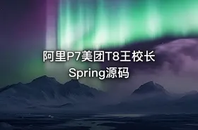 阿里P7美团T8王校长Spring源码