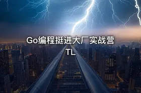Go编程挺进大厂实战营 TL