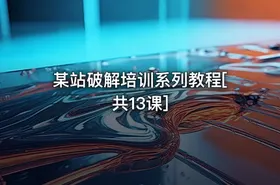 某站破解培训系列教程[共13课]