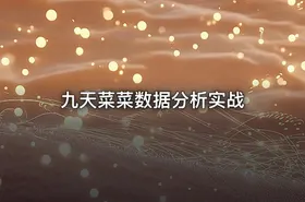 九天菜菜数据分析实战