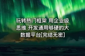 玩转热门框架 用企业级思维 开发通用够硬的大数据平台[完结无密]
