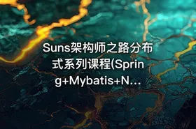 Suns架构师之路分布式系列课程(Spring+Mybatis+NettyRPC)