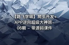 【路飞学城】爬虫开发+APP逆向超级大神班-06期 - 带源码课件